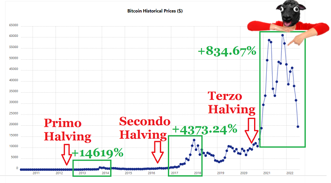 Grafico crescita del prezzo dopo l'halving di Bitcoin